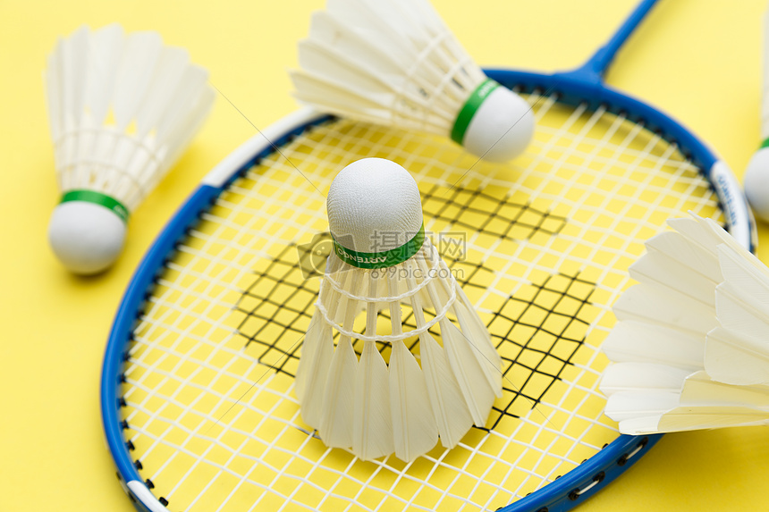 太过单一 太过单一