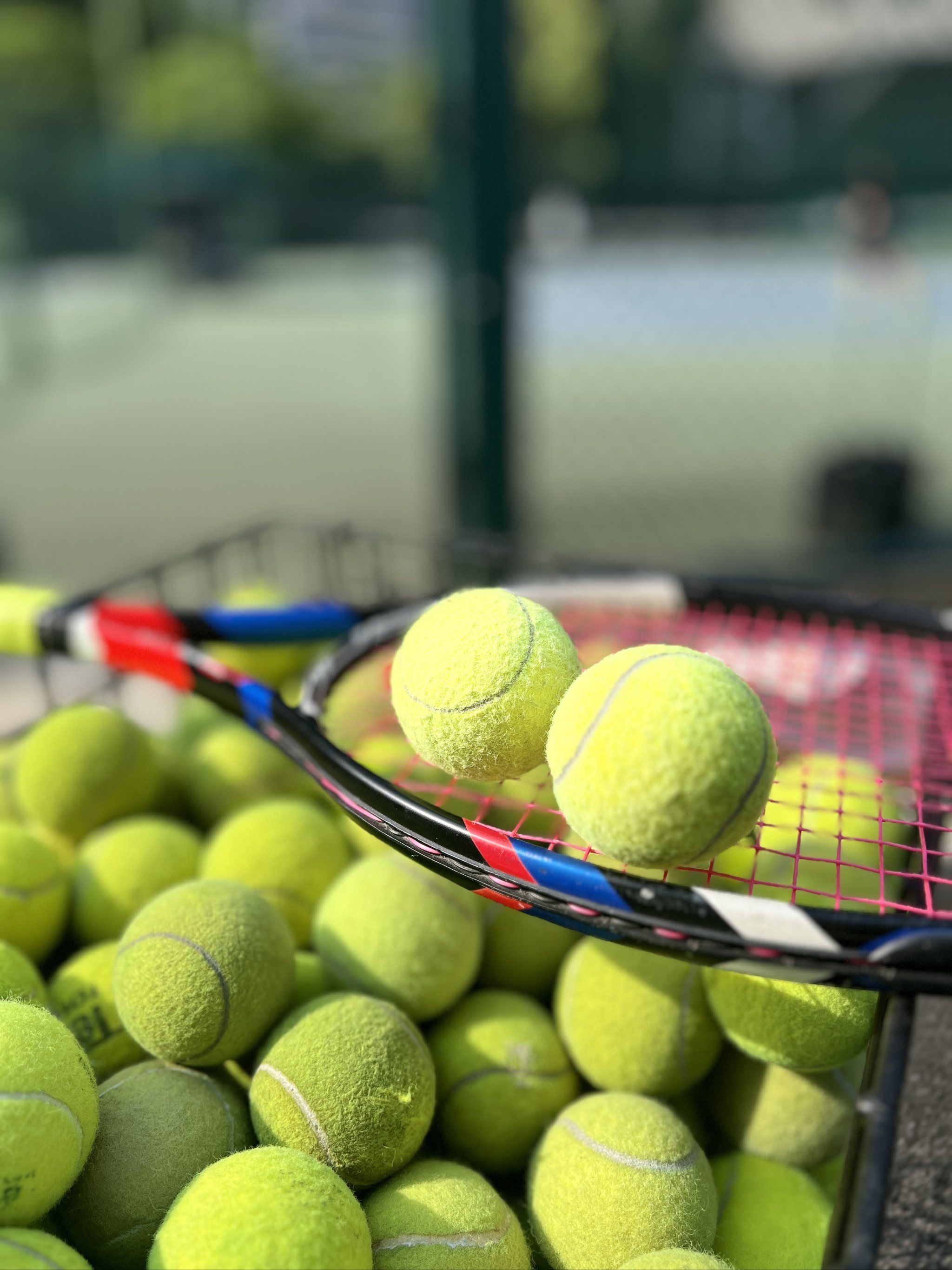 两队在首发 两队在首发