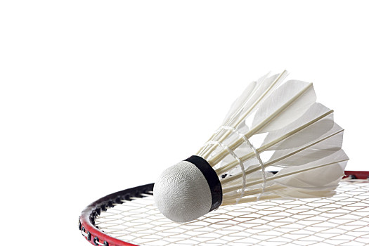 位拦截型后 位拦截型后