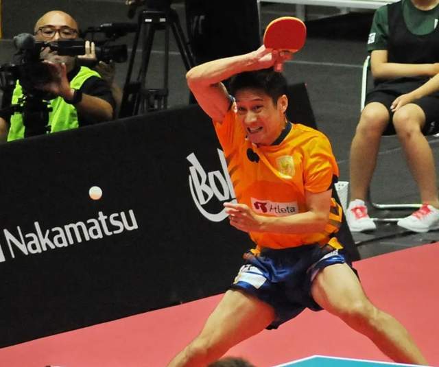 马的消息引 马的消息引